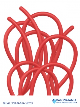 Modellings 260S Pastel Red